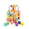 MONTESSORI-Multi-FunctionalMontessoriWoodenActivityCube_32