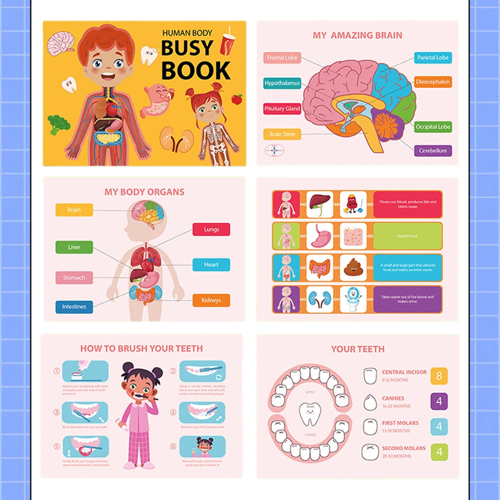 MontessoriBusyBook_LearnBodyStructureandLiteracySkills_1