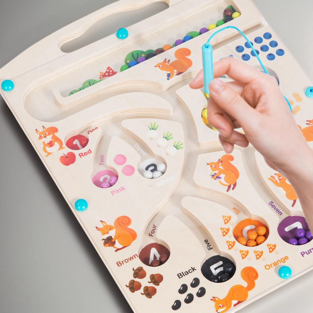 montessoriMagneticColorSortingMaze_3