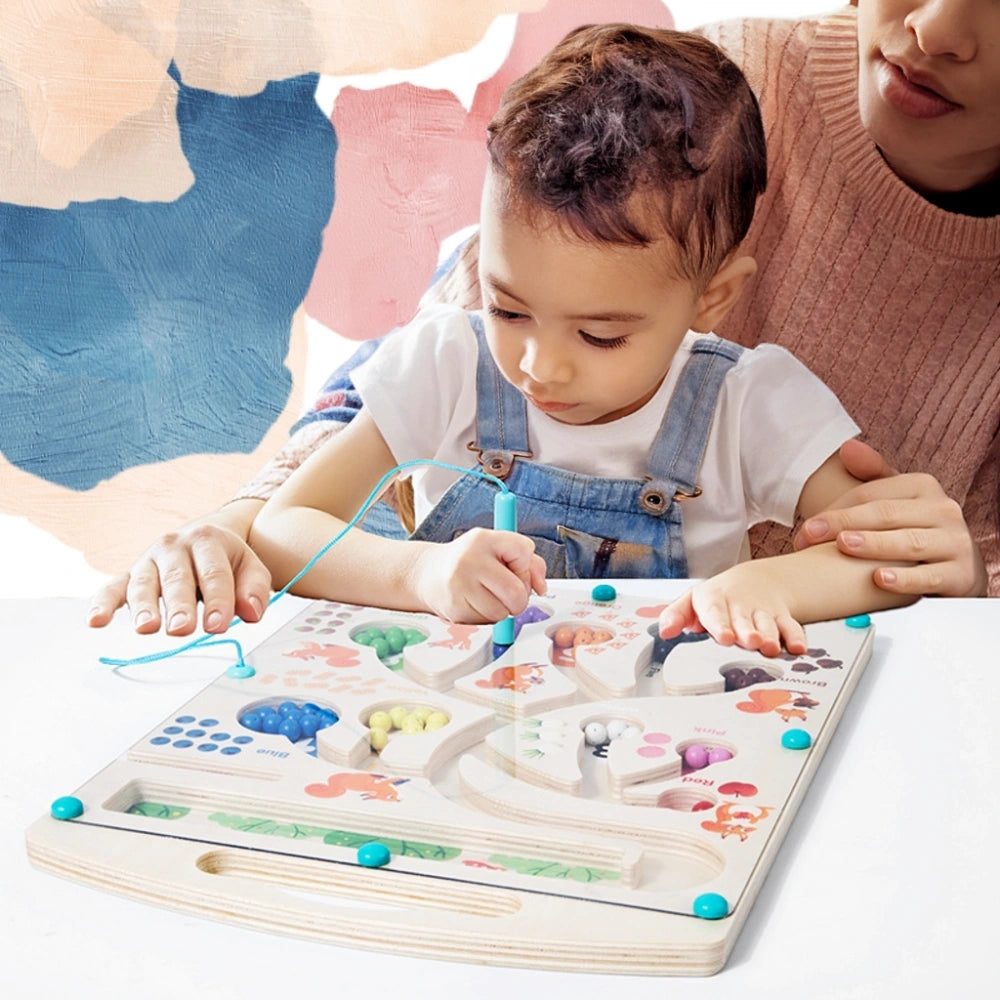 montessoriMagneticColorSortingMaze_6